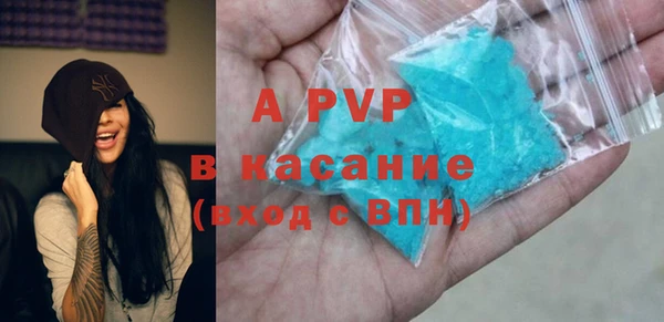 шишки Мегион