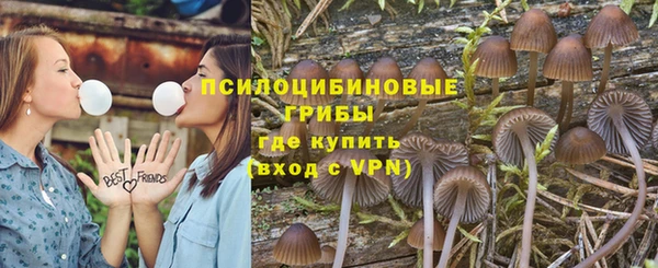 а пвп мука Медногорск