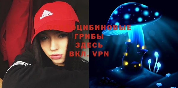 шишки Мегион