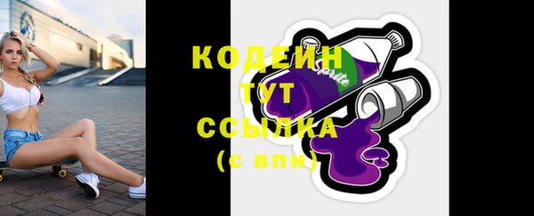 шишки Мегион