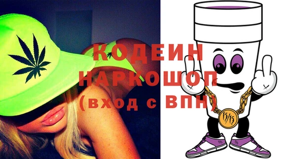 шишки Мегион