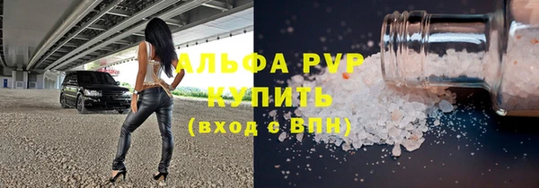 шишки Мегион