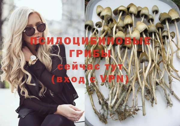 шишки Мегион