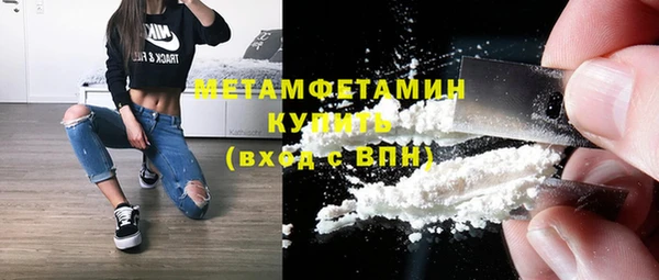 шишки Мегион