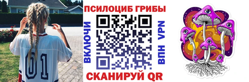 omg зеркало Светогорск Галлюциногенные грибы Psilocybe